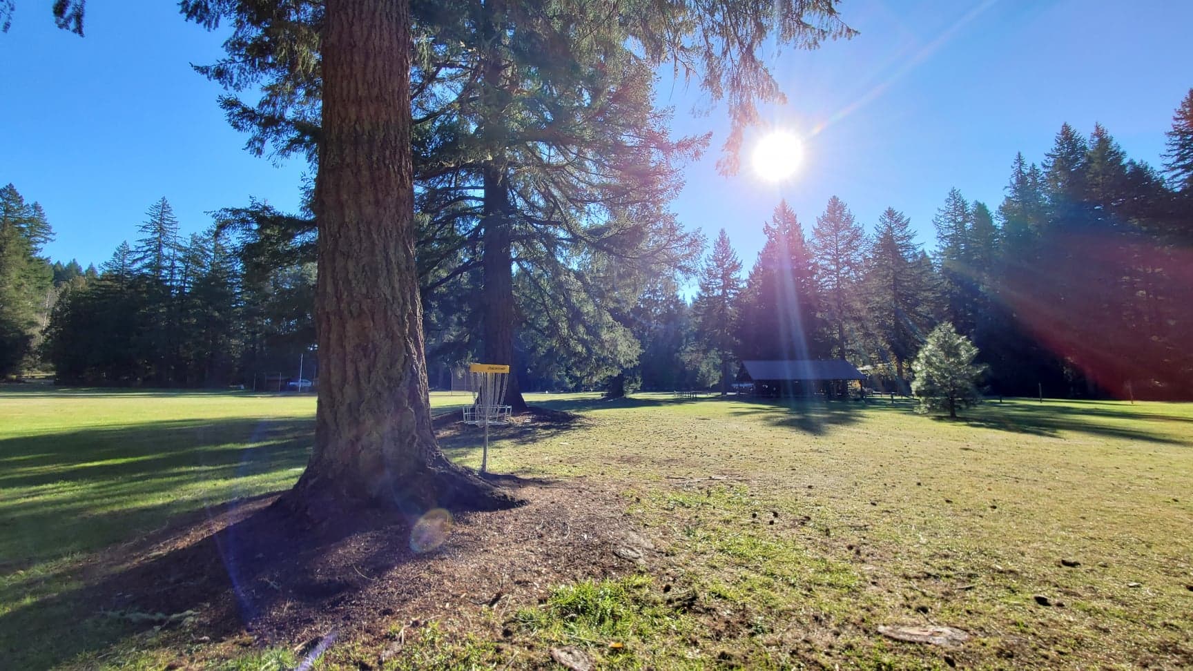 Metzler County Park DGC