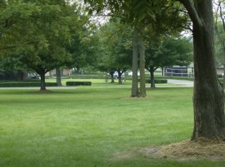 Lake Township Park