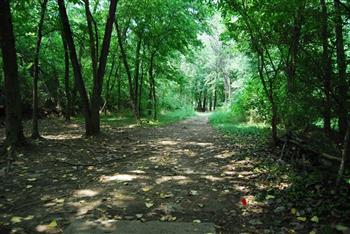 Gillie's Creek image