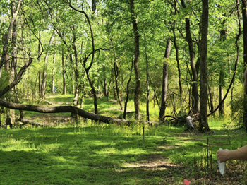 Boundary Waters 3 image