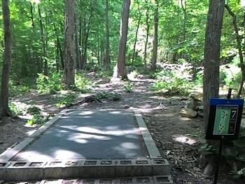 Dacey Fields DGC image