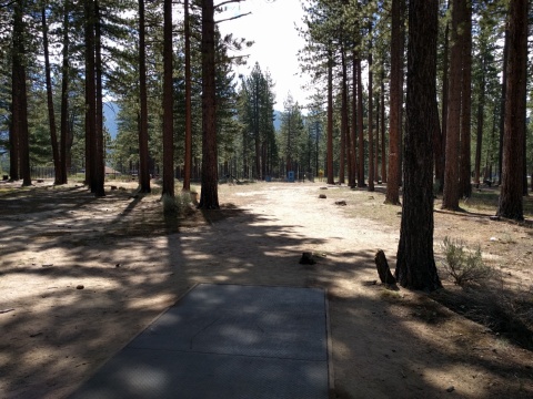 Bijou Community Park DGC